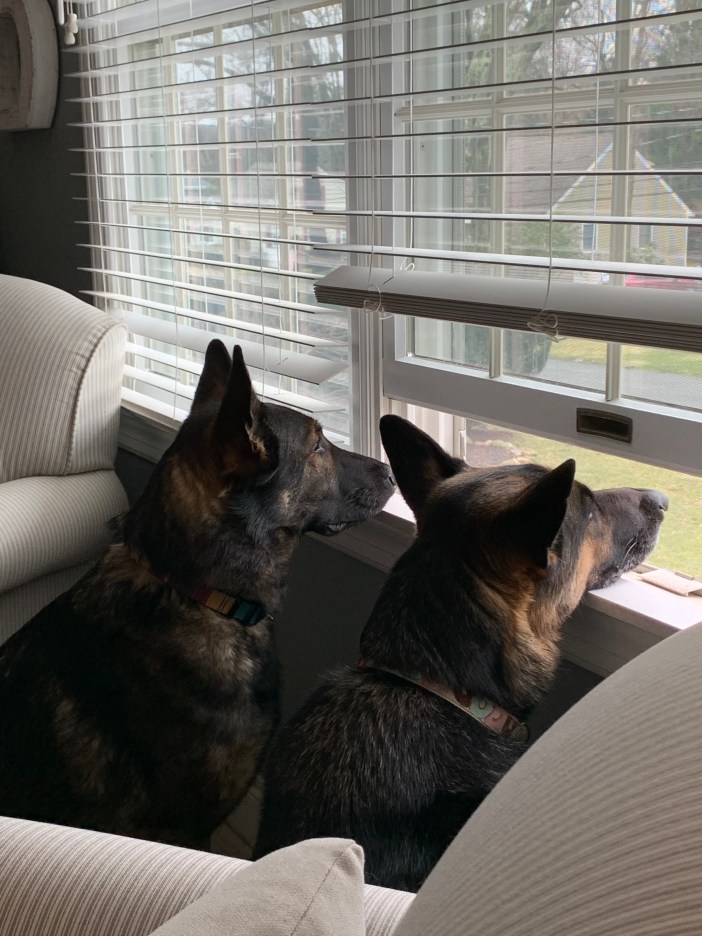 59A5247E-2E94-40CE-9BA6-2E7ED69B2C6D