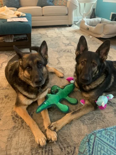 3e2f5c68-9690-4954-b917-20acec81aee3